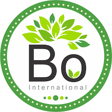 Bo International logo